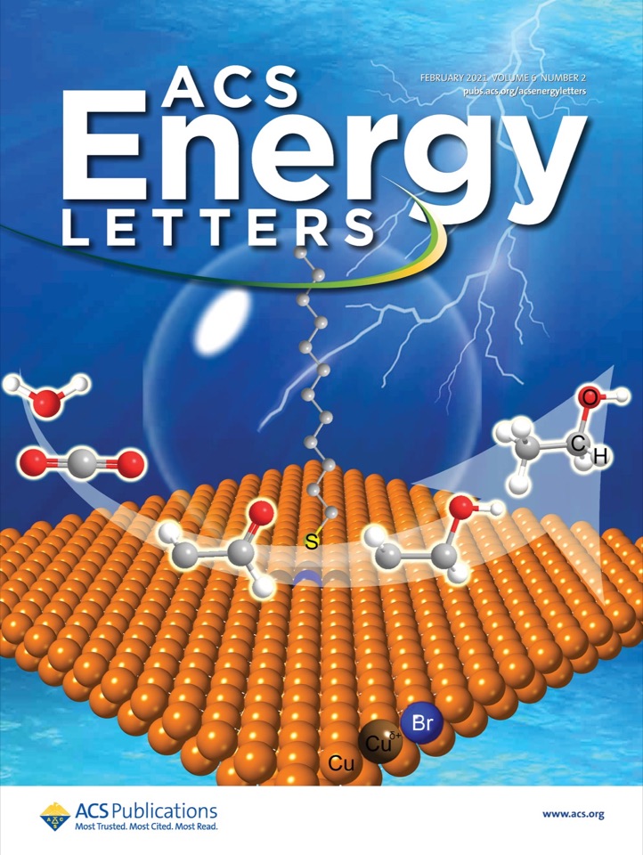 Cover 2021 ACS Energy Letter