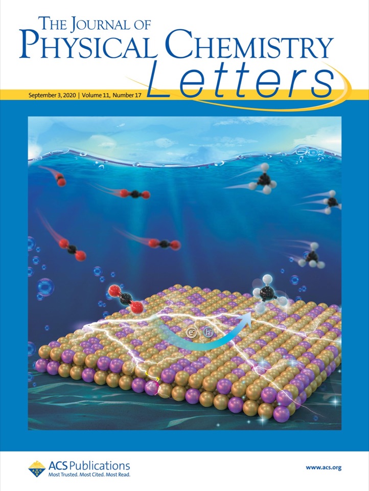 Cover 2020 JPCL